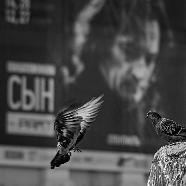 Москва.